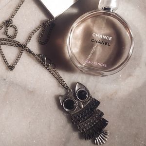 Sleepy Owl Necklace